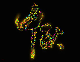 Photoshop﹝ˇgֽ̳