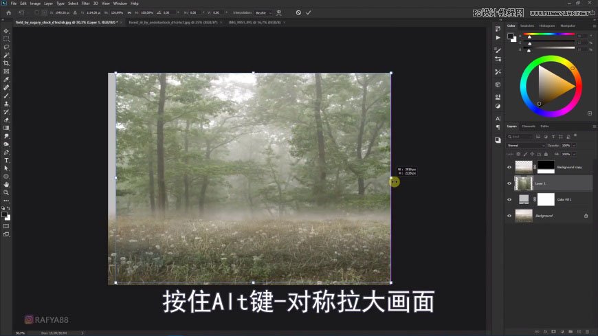 Photoshop創(chuàng)意合成森林中的新娘和鳥籠