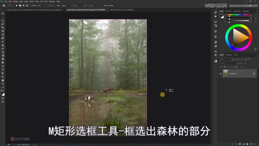 Photoshop創(chuàng)意合成森林中的新娘和鳥籠