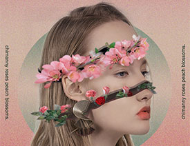 Photoshop(chung)ϳɏ^LĻ